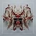 Band of Skulls 