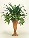 Dracaena and Pathos in Tall Vase