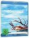 F�hnlage [Blu-ray]