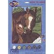 Pony & Mother PBN