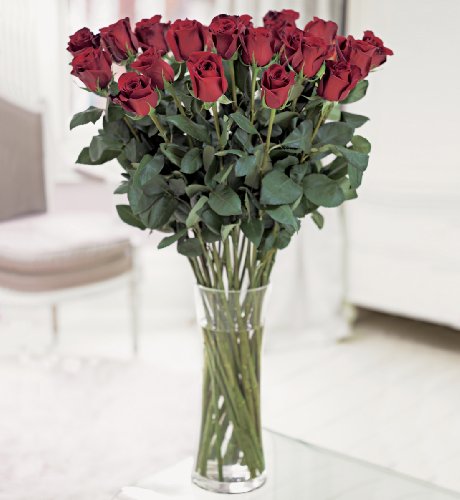 Two Dozen Metre-Long Premium Freedom® Roses