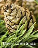 The Brain That Wouldnt Die: 16x9 Widescreen TV.: Greeting Card: Merry Christmas