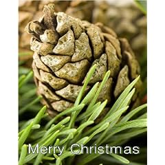 The Brain That Wouldn't Die: 16x9 Widescreen TV.: Greeting Card: Merry Christmas