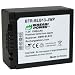 Wasabi Power Battery for Panasonic DMW-BLB13 and Lumix DMC-G1, DMC-G2, DMC-G10, DMC-GF1, DMC-GH1