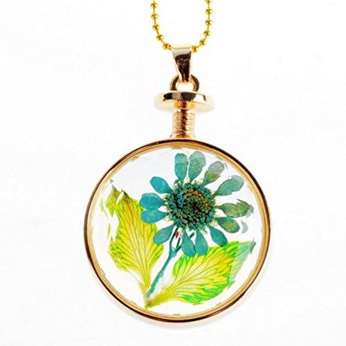Crystalbella Fashion Golden Square Shape Glass Bottle Plant Specimens Dissection Long Sweater Chain Jewelry