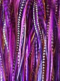 Sexy Sparkles Five Purple & Violet 4''-6 Mix with Natural Browns Quality Salon Feathers for Hair Extension!