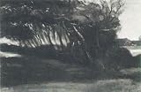 51vzU4bImbL. SL160  FRAMED oil paintings   Vincent Van Gogh   24 x 16 inches   Landscape with Windblown Trees