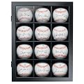 Baseball Display Case-C