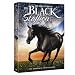 The Adventures of the Black Stallion: The Complete First Season
