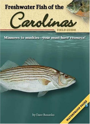 freshwater fish of the carolinas field guide