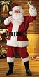 Adult Regal Plush Santa Costume (Standard Size)