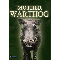 Mother Warthog