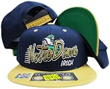 Notre Dame Fighting Irish Navy/Green Two Tone Plastic Snapback Adjustable Plastic Snap Back Hat / Cap