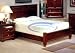 Queen 10" Therapeutic Memory Foam Mattress with 3" 5LB density Viscoelastic Memory Foam. FREE SHIPPING IN 48 STATES!!!