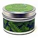 Fir Needle Essential Oil 4oz, Super Scented Soy Candle Tin