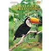 Vogelpark Impressionen