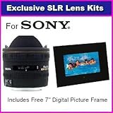 Sigma 10mm f/2.8 EX DC HSM Fisheye Lens for For Sony DSLR-A200 A300 A350 A1 ....