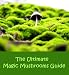 The Ultimate Magic Mushrooms Guide