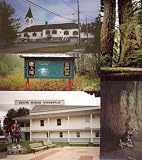 Timber Sale: A B.C. History About Alexander Duncan McRae, Maillardville, The Comox Valley and the Canadian Western Lumber Co.