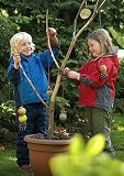 Spotty Otter Waterproof Fleece Lined Jacket Red / Charcoal (2-3 yrs)