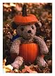 HALLOWEEN W/ TEDDY BEAR IN PUMPKIN