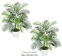 TWO 3' Artificial Areca Palm Trees, with No Pot,
