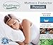 Matthem Premium Hypoallergenic Terry Cotton Waterproof Mattress Protector - Vinyl Free-Size Avaiable on Full XL 54x80+16 inch