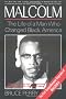 Malcolm: The Life of a Man Who Changed Black America