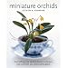 Miniature Orchids