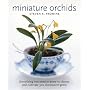 Miniature Orchids