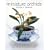 Miniature Orchids