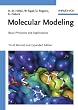 Molecular Modeling: Basic Principles and Applications