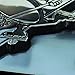 FANMATS - 14966 NHL Detroit Red Wings Chrome Hitch Cover 3.4