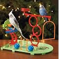 Birdie Basketball Gym Budge Cockatiel Bird Activity Toy