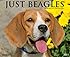 Just Beagles 2015 Wall Calendar