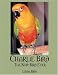 Charlie Bird