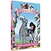Horseland, bienvenue au ranch ! Vol. 8 : Eclair, un grand champion