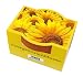 Mini-Pflanzset Zwergsonnenblume