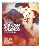 Splendor in the Grass (1961)