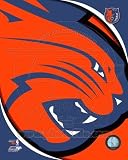 Charlotte Bobcats Team Logo - Licensed Photo by PhotoFile (8x10) [Misc.]