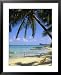 Beach, Cap Malheureux, Mauritius Collections Framed Art Poster Print by G Richardson, 25x31