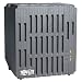 Tripp Lite LR1000 1000W Desktop Line Conditioner w/AVR 4 outlets image 1