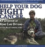 Help Your Dog Fight Cancer: An Overview Of Home Care Options