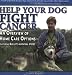 Help Your Dog Fight Cancer: An Overview Of Home Care Options
