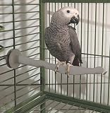 Outdoor Living : K&H Thermo-Perch Heated Bird Perch - Large, 2 inch x 14.5 inch
