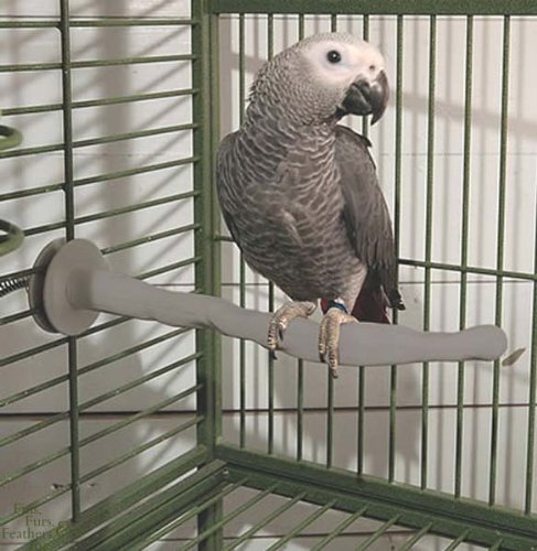 K&H Thermo-Perch? Heated Bird Perch - Small, 1 inch x 10.5 inch