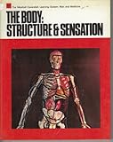 The body : structure & sensation