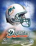 Miami Dolphins Logo 8x10 Color Photo