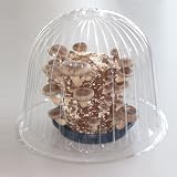 キノコ栽培容器（B）