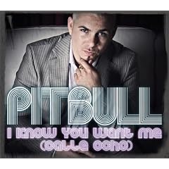 I Know You Want Me (Calle Ocho) (Radio Edit)